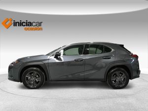 Lexus UX 2.0 250h Business  - Foto 4