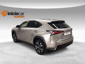 Lexus NX 2.5 300h F Sport Panorámico 4WD  - Foto 3