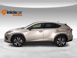 Lexus NX 2.5 300h F Sport Panorámico 4WD  - Foto 4