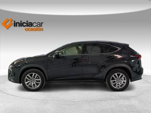 Lexus NX 2.5 300h Executive Kick Power+Navig  - Foto 4