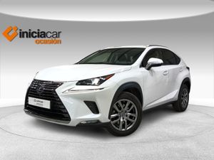 Lexus NX 2.5 300h Executive Navigation 4WD  - Foto 2