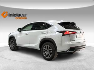 Lexus NX 2.5 300h Executive Navigation 4WD  - Foto 3