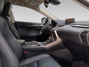 Lexus NX 2.5 300h Executive Navigation 4WD  - Foto 7