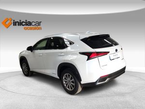 Lexus NX 2.5 300h Business 2WD  - Foto 3