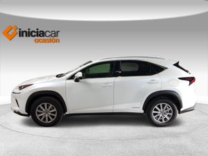 Lexus NX 2.5 300h Business 2WD  - Foto 4