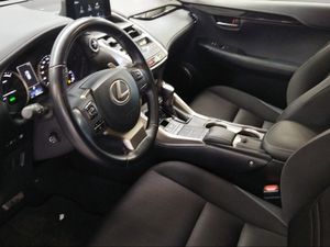 Lexus NX 2.5 300h Business 2WD  - Foto 16