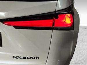 Lexus NX 2.5 300h Business 2WD  - Foto 17