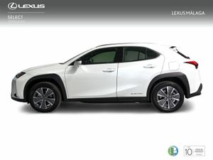 Lexus UX 300e Executive  - Foto 4