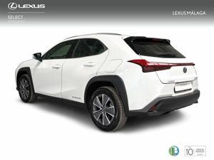 Lexus UX 300e Executive  - Foto 3