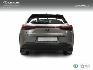 Lexus UX 2.0 250h Luxury  - Foto 5