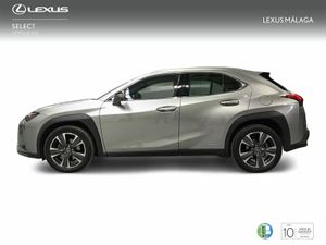 Lexus UX 2.0 250h Luxury  - Foto 4