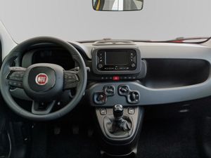 Fiat Panda Panda 1.0 Hybrid 51kW (70cv)  - Foto 9