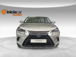 Lexus NX 2.5 300h Executive Kick Power+Navig  - Foto 6