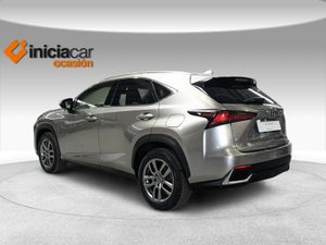 Lexus NX 2.5 300h Executive Kick Power+Navig  - Foto 3