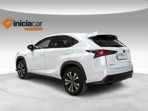 Lexus NX 2.5 300h F Sport Kick Power+Panorámico  - Foto 3