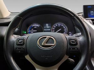 Lexus NX 2.5 300h Business 2WD  - Foto 15
