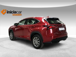 Lexus NX 2.5 300h Business 2WD  - Foto 3