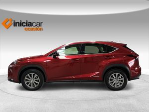 Lexus NX 2.5 300h Business 2WD  - Foto 4
