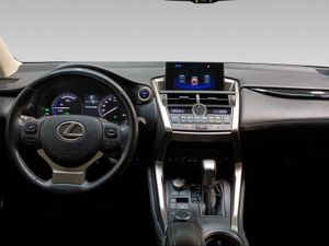 Lexus NX 2.5 300h Business 2WD  - Foto 9