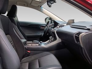 Lexus NX 2.5 300h Business 2WD  - Foto 7
