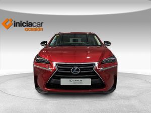 Lexus NX 2.5 300h Business 2WD  - Foto 6
