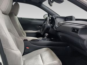 Lexus UX 2.0 250h Premium  - Foto 7