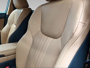 Lexus NX 450h+ Executive 4WD  - Foto 14