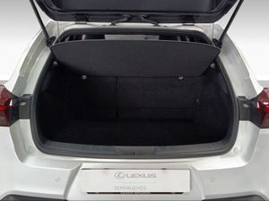 Lexus UX 300e e-UX  - Foto 10