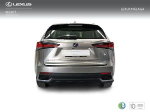 Lexus NX 2.5 300h Business Navigation 2WD  - Foto 5