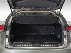 Lexus NX 2.5 300h Business Navigation 2WD  - Foto 10
