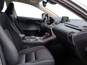 Lexus NX 2.5 300h Business Navigation 2WD  - Foto 7