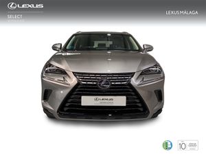Lexus NX 2.5 300h Business Navigation 2WD  - Foto 6