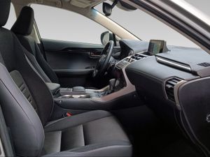Lexus NX 2.5 300h Business Navigation 2WD  - Foto 7
