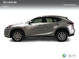 Lexus NX 2.5 300h Business Navigation 2WD  - Foto 4