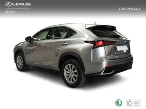 Lexus NX 2.5 300h Business Navigation 2WD  - Foto 3