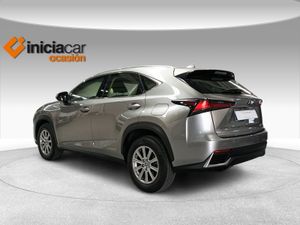 Lexus NX 2.5 300h Business Navigation 2WD  - Foto 3