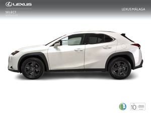 Lexus UX 2.0 250h Premium  - Foto 4