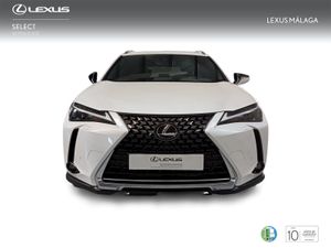 Lexus UX 2.0 250h Premium  - Foto 6