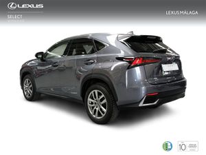 Lexus NX 2.5 300h Executive Navigation 4WD  - Foto 3
