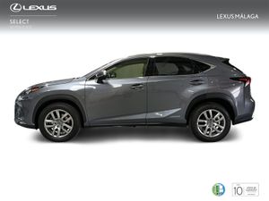 Lexus NX 2.5 300h Executive Navigation 4WD  - Foto 4
