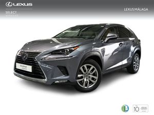 Lexus NX 2.5 300h Executive Navigation 4WD  - Foto 2