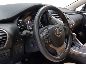 Lexus NX 2.5 300h Executive Navigation 4WD  - Foto 16