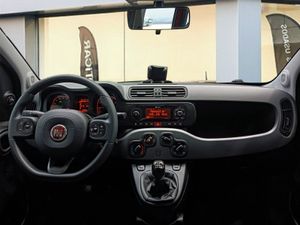 Fiat Panda City Life Hybrid 1.0 Gse 51kw (70CV)  - Foto 9