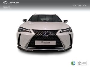 Lexus UX 2.0 250h Premium  - Foto 6