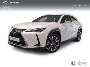 Lexus UX 2.0 250h Premium  - Foto 2