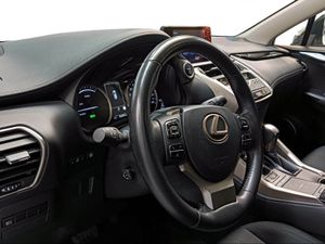 Lexus NX 2.5 300h Business Navigation 2WD  - Foto 17