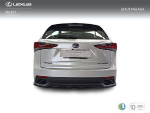 Lexus NX 2.5 300h Business Navigation 2WD  - Foto 5