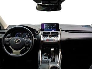 Lexus NX 2.5 300h Business Navigation 2WD  - Foto 9