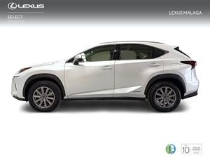 Lexus NX 2.5 300h Business Navigation 2WD  - Foto 4