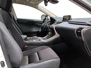Lexus NX 2.5 300h Business Navigation 2WD  - Foto 7